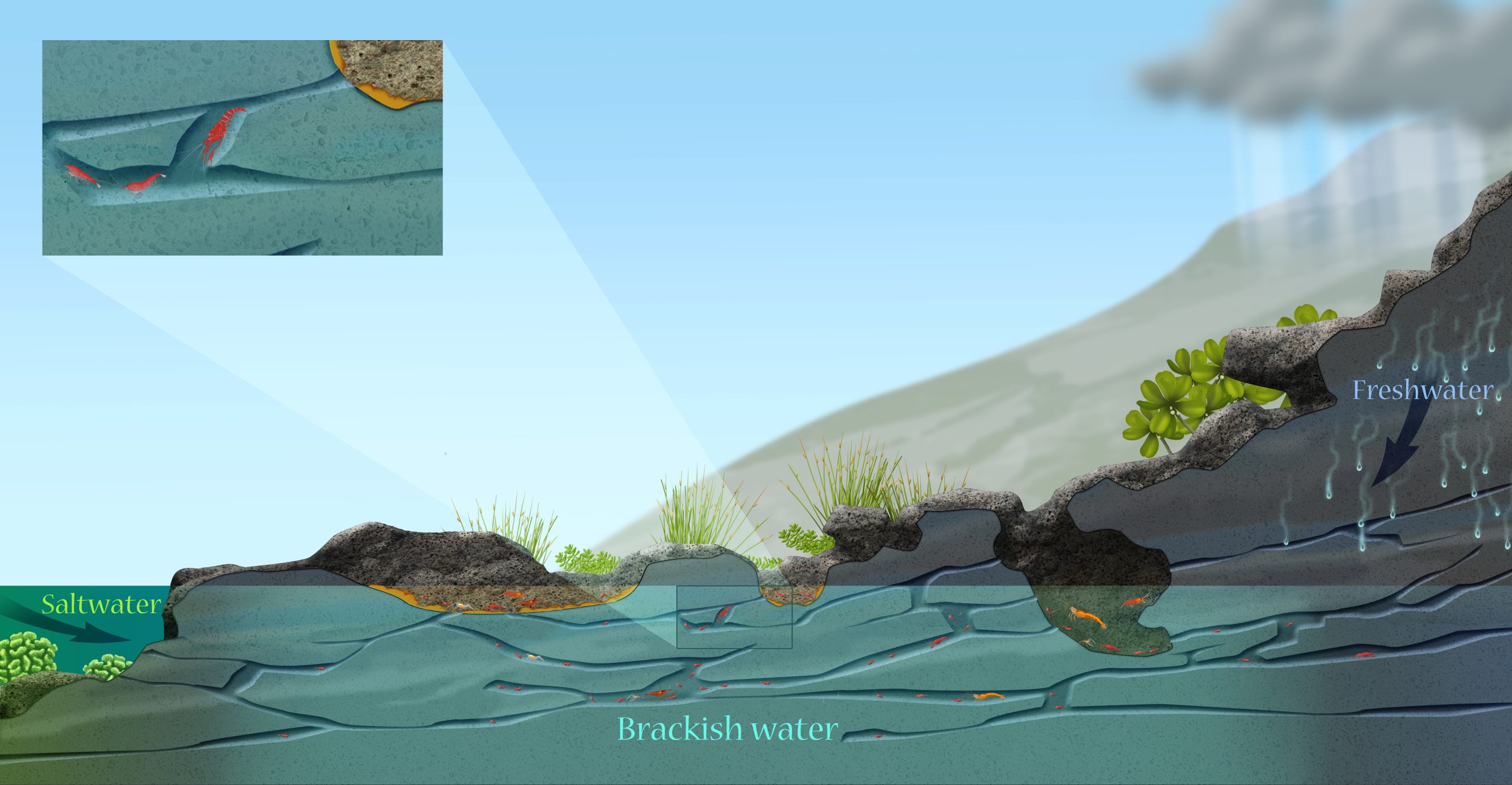 Big_20island_20ponds3_final