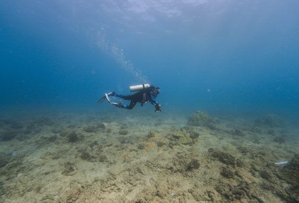 AIS-Kakaako-Orthoimagery