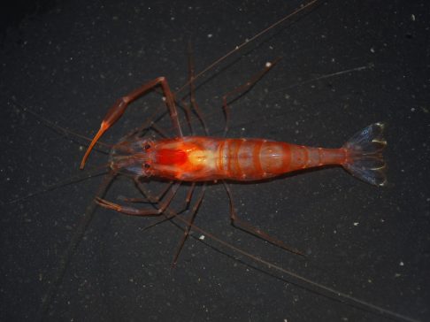 ????????????????????????????????????