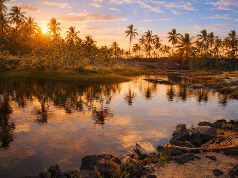 anchialine pool on royal grounds at pu'uhonua o honaunau national historical park hawaii 3